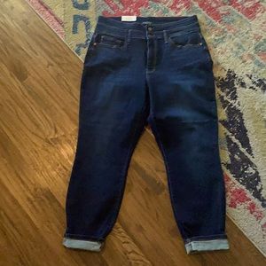 Judy Blue Relaxed Fit Boyfriend Jeans 18W